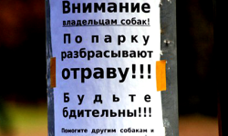 отрава
